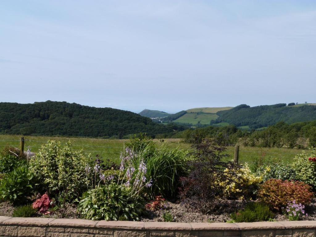 Aberystwyth Enlli Cottage 외부 사진